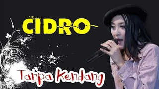 Download Cidro Tanpa Kendang (Versi SKA) Elsa Safira MP3