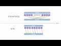 Presto File Server High-speed File Transfer over Long Distances