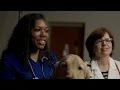 LMU Health Care Professions Opportunities