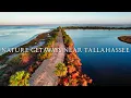 Top 5 Nature GETAWAYS Near Tallahassee Florida
