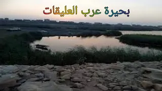 اشبه بقصص الرعب  بحيرة عرب العليقات  من نفوق الاسماك لحكايات مرعبة دندنها