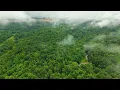 16 Acres w Pond Camper Noble County OH Land for Sale 99 900 Ohio Land Pro Tyler Haessly