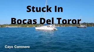 Stuck Bocas Del Toro