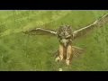 Heilung - Krigsgaldr