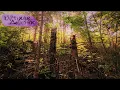 Download Lagu Garrjan - Kliptinan deīktan