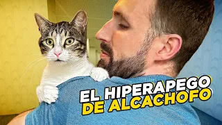 Mi GATO era DEMASIADO DEPENDIENTE, MAULLADOR Y DEMANDANTE DE ATENCIÓN 😿💔| EL HIPERAPEGO DE ALCACHOFO