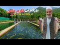 Download Lagu بزرگترین فارم ماهی در دره‌میان شهر ورسج ، گزارش از فارم پرورش ماهی قزل آلا در شمال شرق افغانستان