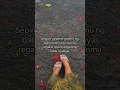 Lagu Piro cah? #bali #perantau #story #savemoney https://vt.tiktok.com/ZSPmNrDnH/