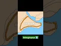 Download Lagu Akhir dari pertahanan Konstantinopel | Tembok Konstantinopel #sejarah #saluransejarah