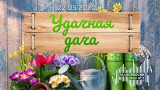 «Удачная дача», эфир от 22 мая 2020 года