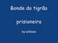 Download Lagu bonde do tigrão - prisioneira