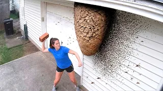 she messed with WRONG mosquito nest...