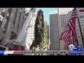 Rockefeller Christmas tree from Oneonta arrives in NYC