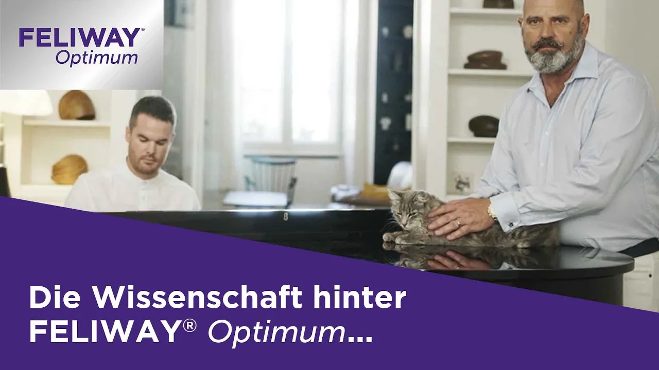 FELIWAY Katzen — Feliway Optimum — Für ein glückliches und entspanntes Zusammenleben (YouTube video ad)