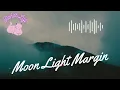 2AM Moonlight 🌙 Lofi Beat – Chill Study Music to Focus & Relax