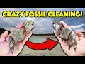 How to Clean Your Fossils Satisfying Time Lapse