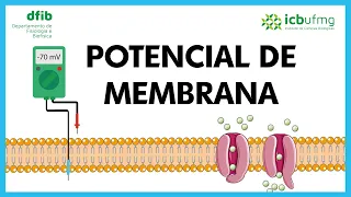 Potencial de Membrana