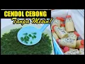 CENDOL CEBONG TANPA CETAKAN! HASILNYA MIRIP PABRIK 😱 LEMBUT, WANGI, BIKIN NAGIH!