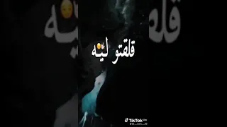 اغنيه رقم واحد انا دوله 