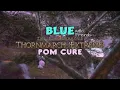 FFXIV - Blue with Friends Thornmarch Spell Pom Cure