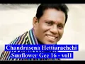 Lagu Chandrasena Hettiarachchi With Sunflowers