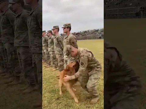 Kindness 🐾 Soldier's Heartwarming Reunion with Dog #kindness #reunion #shorts