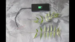 Free energy mobile charger