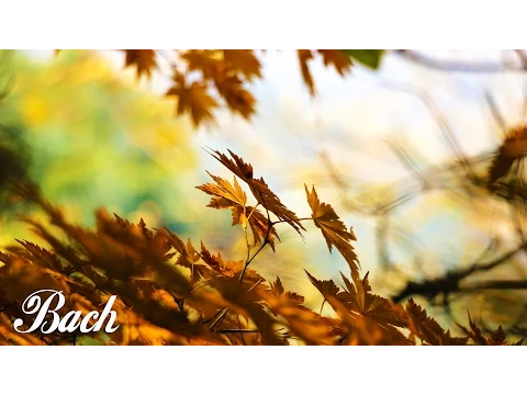 Bach - Air on the G String