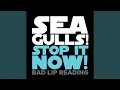 Seagulls Stop It Now