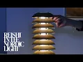 Download Lagu Exhibition Opening | Reishi In the Nordic Light: Mycelium in Danish Furniture Design