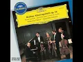 Brahms: Piano Quintet in F minor, Op. 34: II. Andante, un poco adagio - Maurizio Pollini, Quartetto Italiano & Johannes Brahms