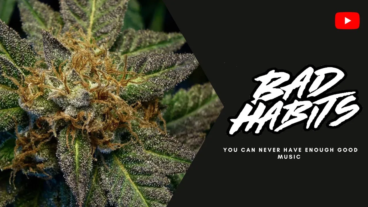 BAD=Habits - Reggae DNB Mini- mix