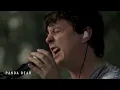 Panda Bear Live, Pitchfork Music Festival 2015 Full Set - Union Park, Chicago