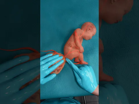 😳 दो बार जन्म, कैसे? - 3D Animation