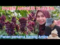 Download Lagu PANEN ANGGUR PERDANA DI CHINA, RASANYA SUPER MANIS  || SUAMI GAMAU KETINGGALAN SAMPE BAWA AMIRA