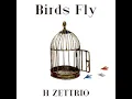 Birds Fly