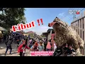 Download Lagu Tragedi batu melayang ‼️ ARAK ARAKAN PEKANTINGAN 2025 || Acara ngunjung buyut pekantingan 2025