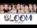 Download Lagu TWICE BLOOM Lyrics (Color Coded Lyrics)
