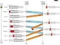 Topic 12 Flow Control Protocols