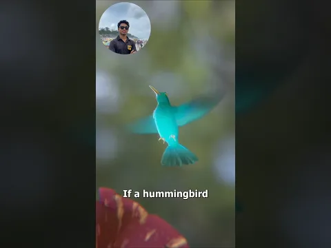 how a hummingbird's tongue works 😜 #shorts #viral