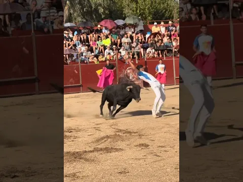🐂⚡ ¡RECORTE CON TODO! Vaya manera de entrarle