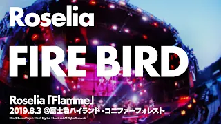 Download 【公式ライブ映像】Roselia「FIRE BIRD」【期間限定】 MP3