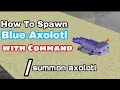 How to Spawn blue axolotl with Command in Minecraft