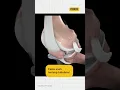 Download Lagu Apa benar Bayi gapunya tulang lutut? #Faktaunik