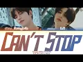 Stray Kids (스트레이 키즈) '나 너 좋아하나봐 (Can’t Stop)' (Color Coded Lyrics) | Kaesuri