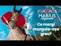 Marius Zgaianu - Ce Mergi Murgule Asa Greu (Originala 2018)
