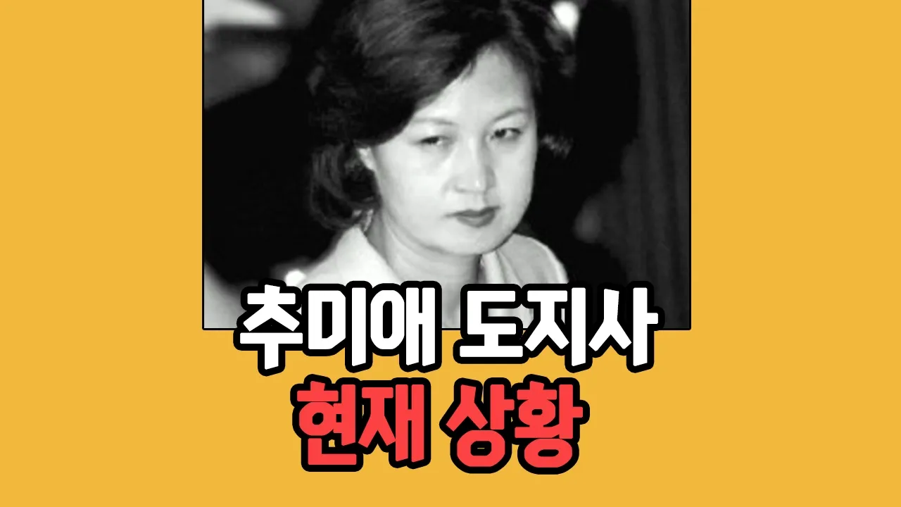 현재 추미애 소식