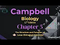 Chapter 5 The Structure and Function of Large Biological Molecules Biology Explained