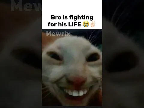 This canβt be real ππ