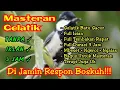 Download Lagu Masteran burung gelatik batu durasi 3 jam full bebas hambatan